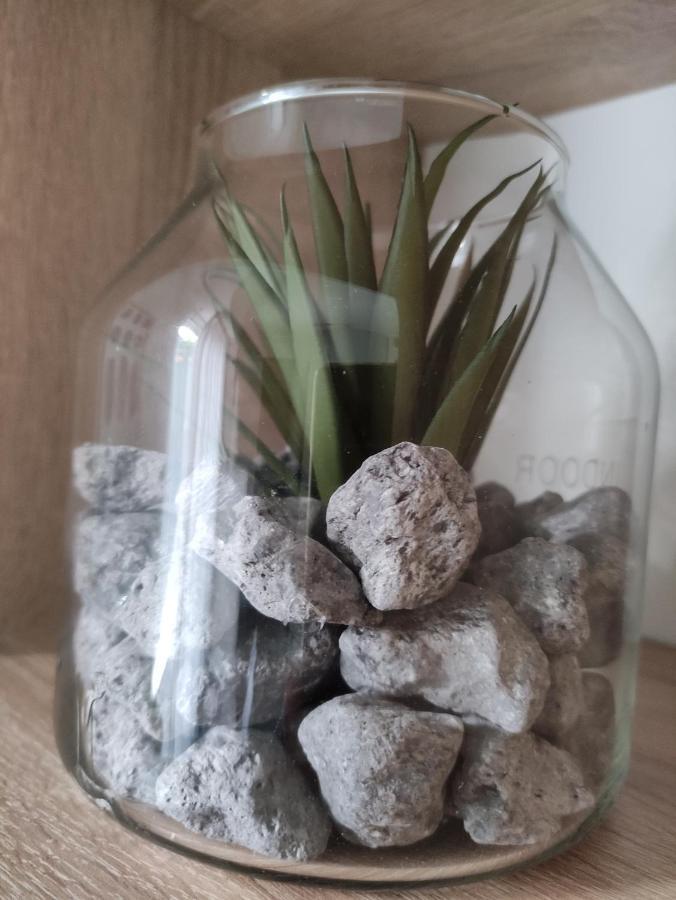 Apartament D&D Studio Pírgos Zewnętrze zdjęcie